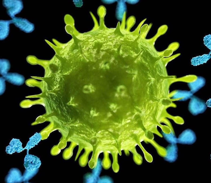 闄㈠＋宸ヤ綔绔